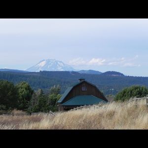 Meet your Posher, Miles